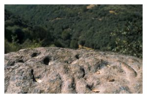 Ruta de los petroglifos de Santa Marina - Pteroglifos - vista general